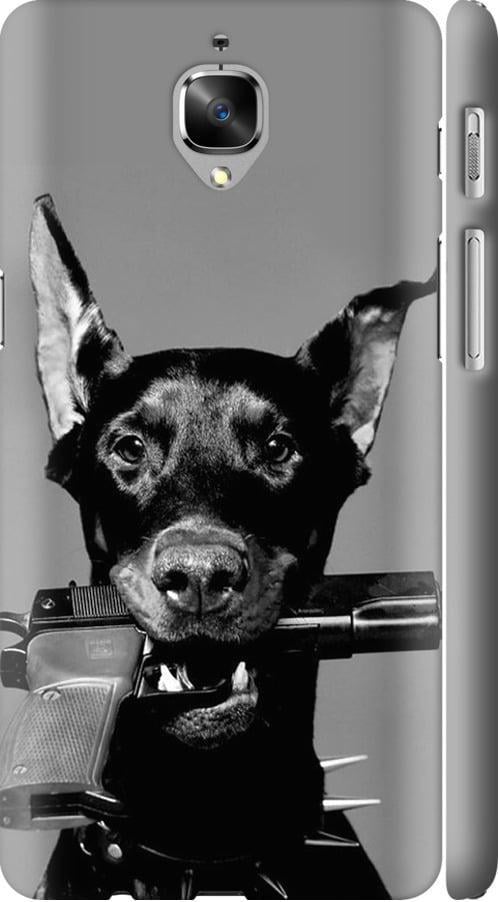 Чохол на OnePlus 3 Доберман (2745m-334-42517)