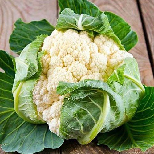 Семена Капуста Florium цвітна Осінній Гігант (13374) Семена Капуста Florium цвітна Осінній Гігант (13374)