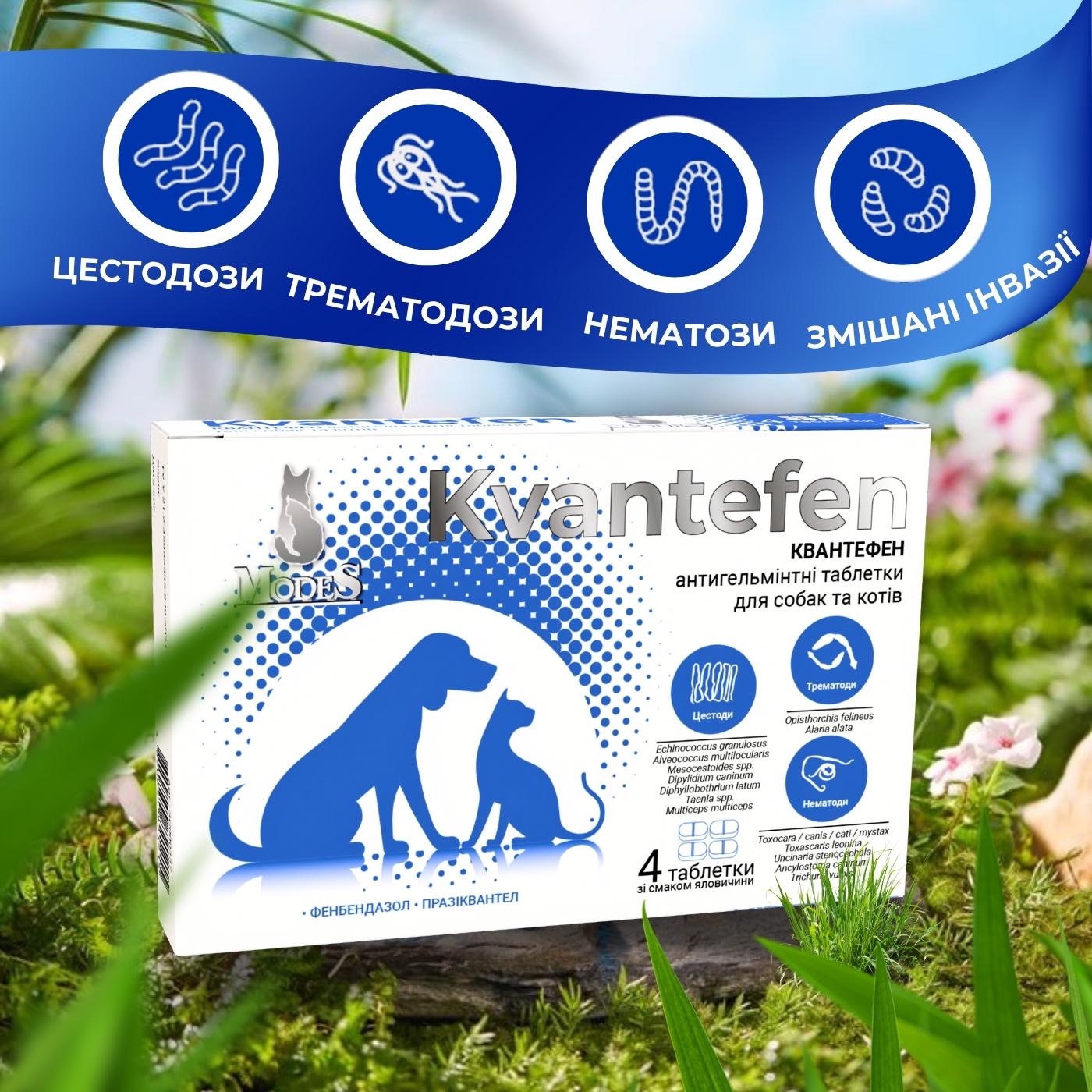 Таблетки антигельмінтні Kvantefen для собак та котів 1 таб на 10 кг 4 табл. (27850165) - фото 5 Таблетки антигельмінтні Kvantefen для собак та котів 1 таб на 10 кг 4 табл. (27850165) - фото 5