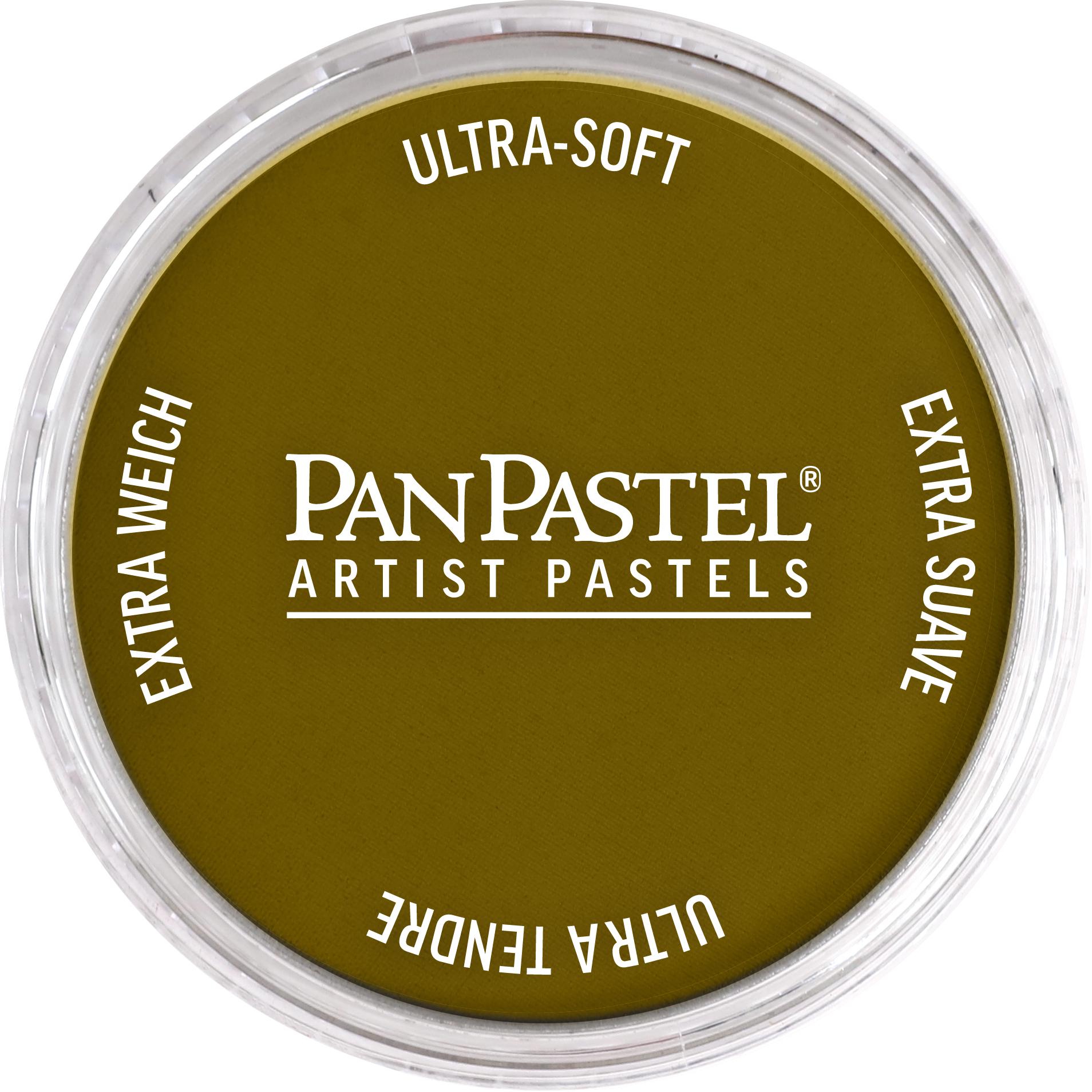Пастель художня PanPastel 250.1 Diarylide Yellow Extra Dark 9 мл (28769527)