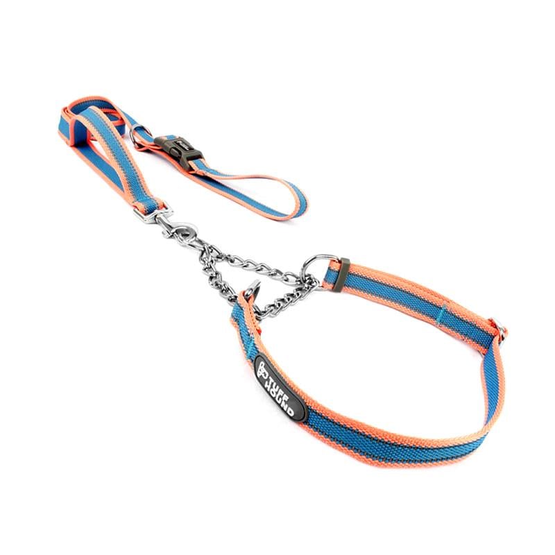 Ошейник удавка TUFF HOUND TC00106 Pink Blue L для собак с поводком Ошейник удавка TUFF HOUND TC00106 Pink Blue L для собак с поводком