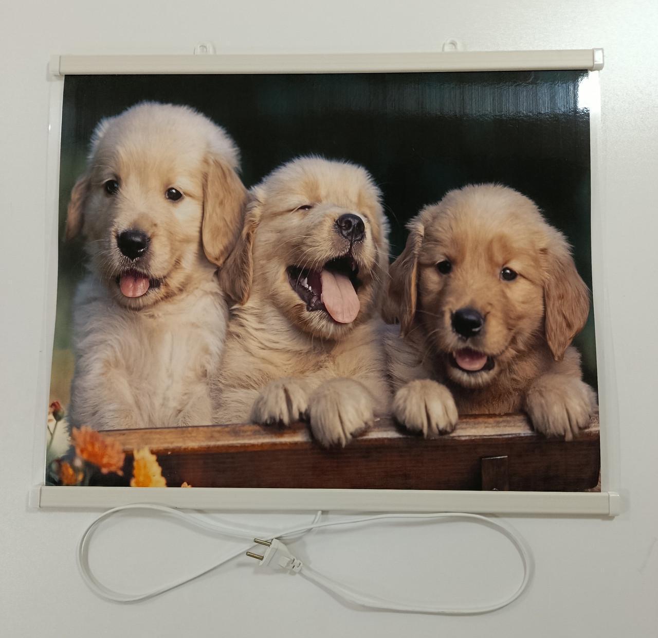 Инфракрасный обогреватель настенный картина Щенята 240 Вт 63х50 см - фото 2 Инфракрасный обогреватель настенный картина Щенята 240 Вт 63х50 см - фото 2