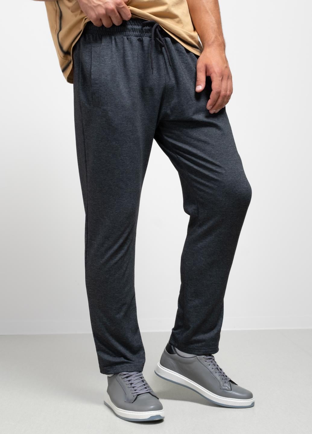 Спортивные штаны мужские Power 103422 L Серый