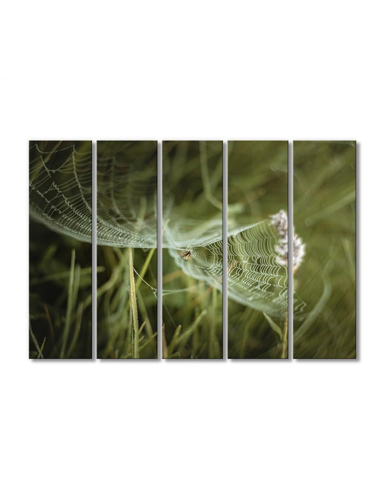 Картина модульная Паук в паутине 5 модулей 90x135 см