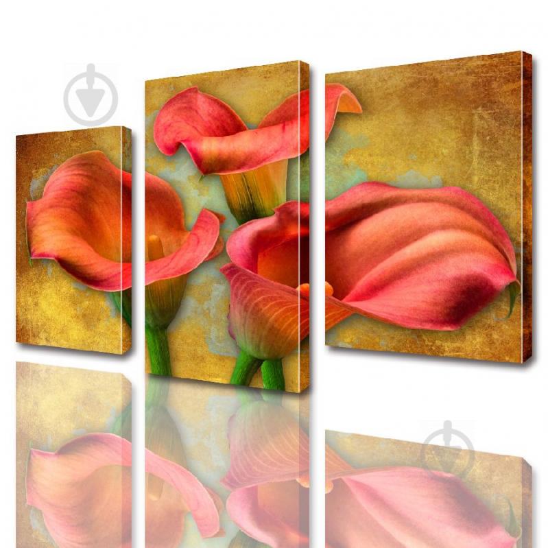 Модульная картина ArtStar цветы Каллы ADFL0007 размер 70 х 105 см