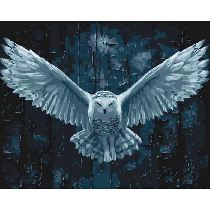 Картина по номерам Ідейка Ночной дозор 40х50 см (KHO4114)