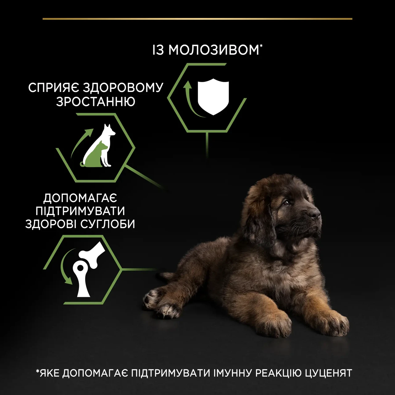 Сухой корм для щенков больших пород Pro Plan Puppy large Robust 12 кг курица - фото 7 Сухой корм для щенков больших пород Pro Plan Puppy large Robust 12 кг курица - фото 7