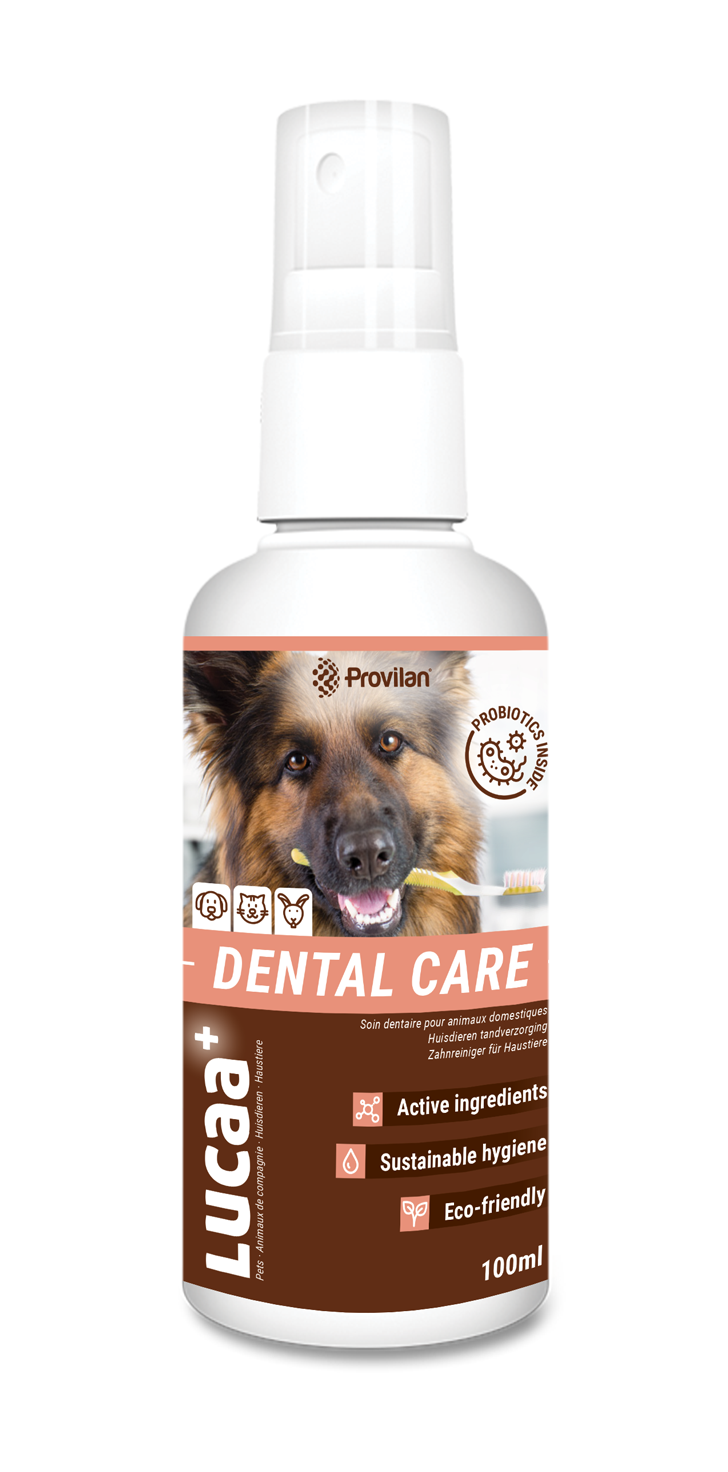 Средство для поддержания гигиены полости рта домашних животных Provilan Pets Dental Care (33079001)