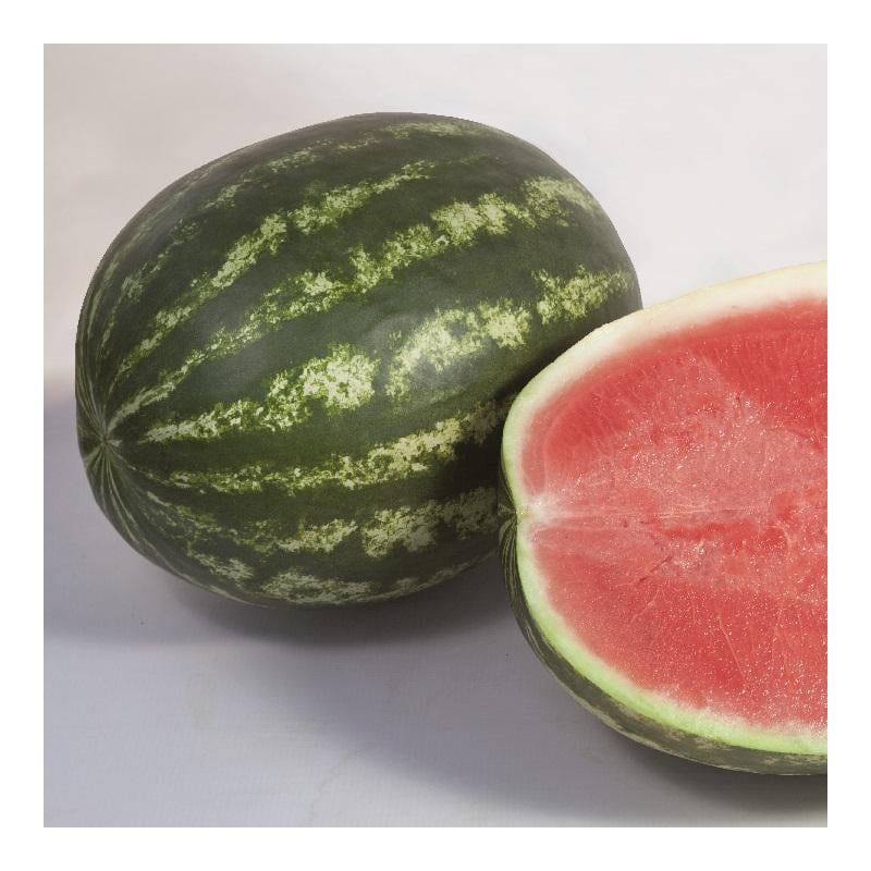 Насіння Кавун Kitano Seeds BALU KS 165 F1 1 000 шт. (2289526541.5)