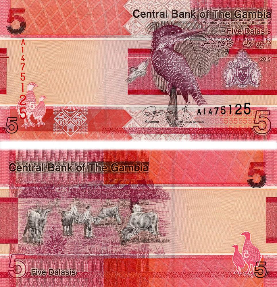 Коллекционная банкнота Гамбия 5 даласи 2019 UNC Птица Pnew (Б12373)