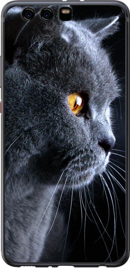 Чехол на Huawei P10 Plus Красивый кот (3038t-963-42517)