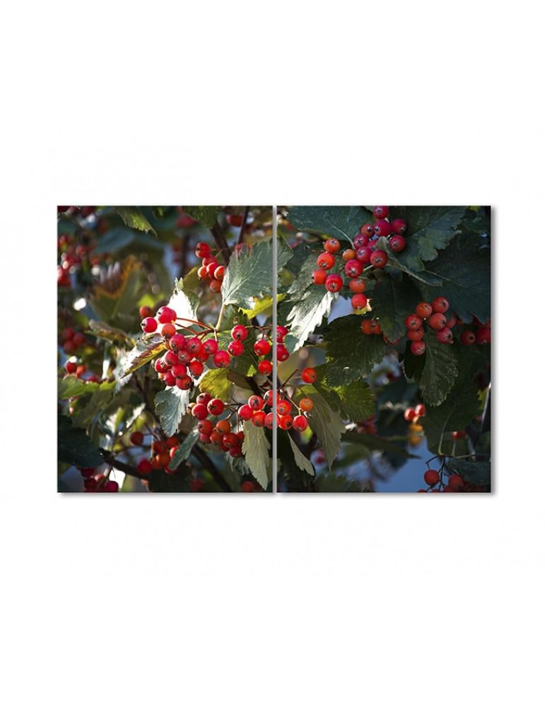 Картина модульная Рябина в солнечном свете 2 модуля 70x105 см