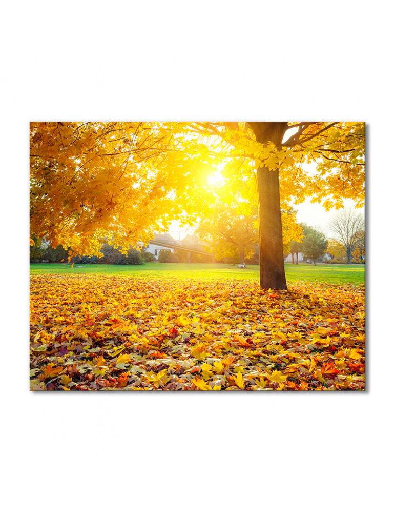 Картина модульная Солнечное осеннее утро 1 модуль 70x105 см