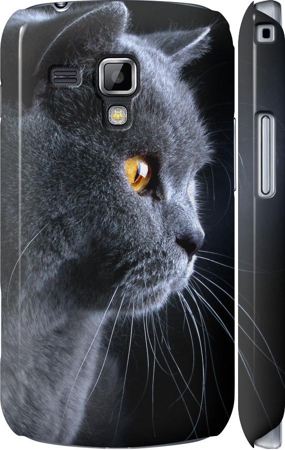 Чехол на Samsung Galaxy S Duos s7562 Красивый кот (3038c-84-42517)