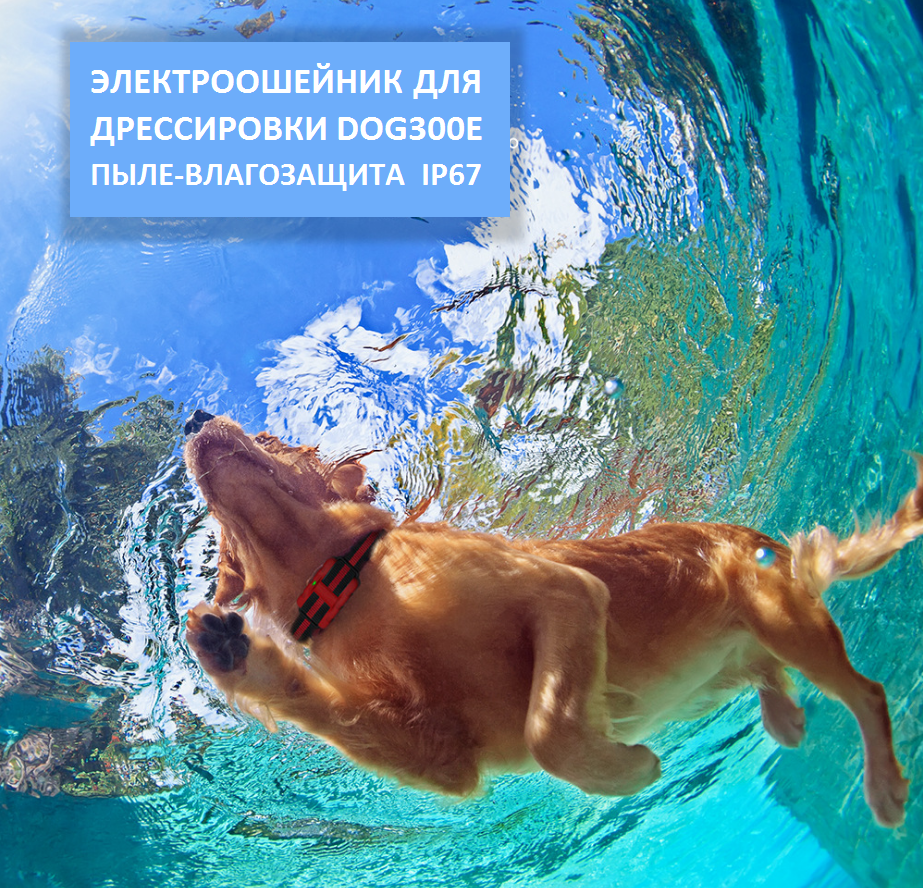 Электроошейник для дрессировки собак PEDONO DOG-300Е дальность до 400 м IP67 Orange - фото 4