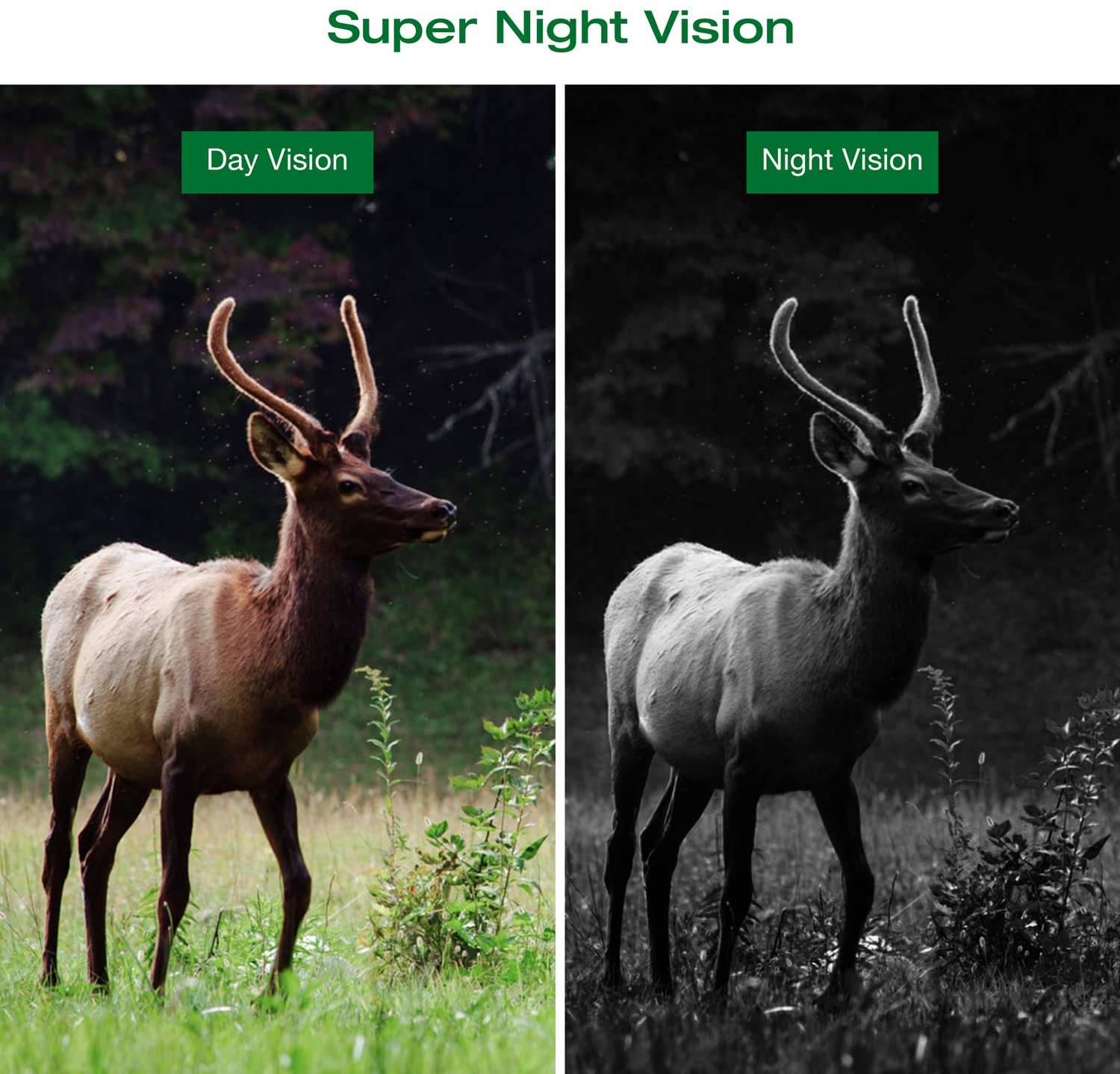 Фотопастка Suntek MINI600 12 Мп міні камера (1012) - фото 6 Фотопастка Suntek MINI600 12 Мп міні камера (1012) - фото 6