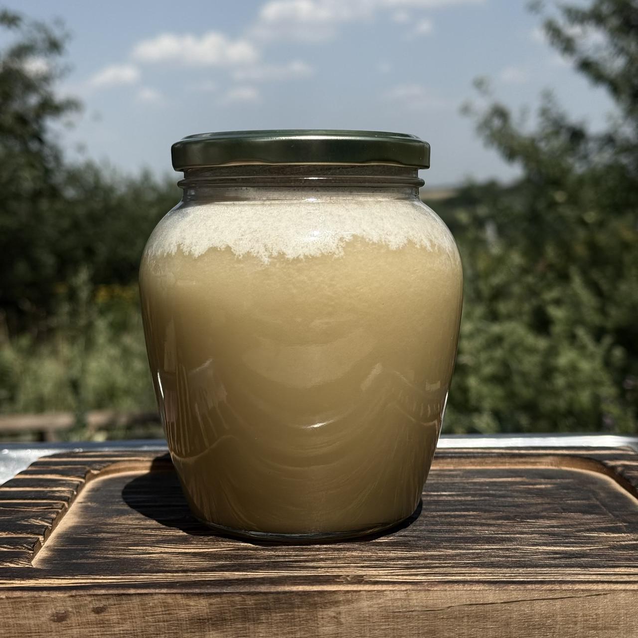 Мед рапс майский семейная кочевая пасека 0,7 л/950 г 2025 г. (2622082628)