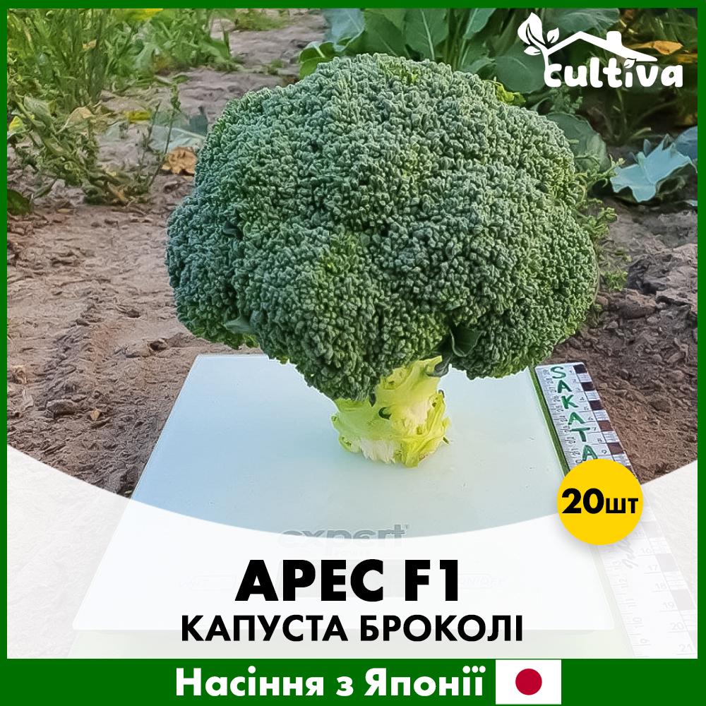 Семена капусты брокколи Sakata Арес F1 20 шт. (R51060)