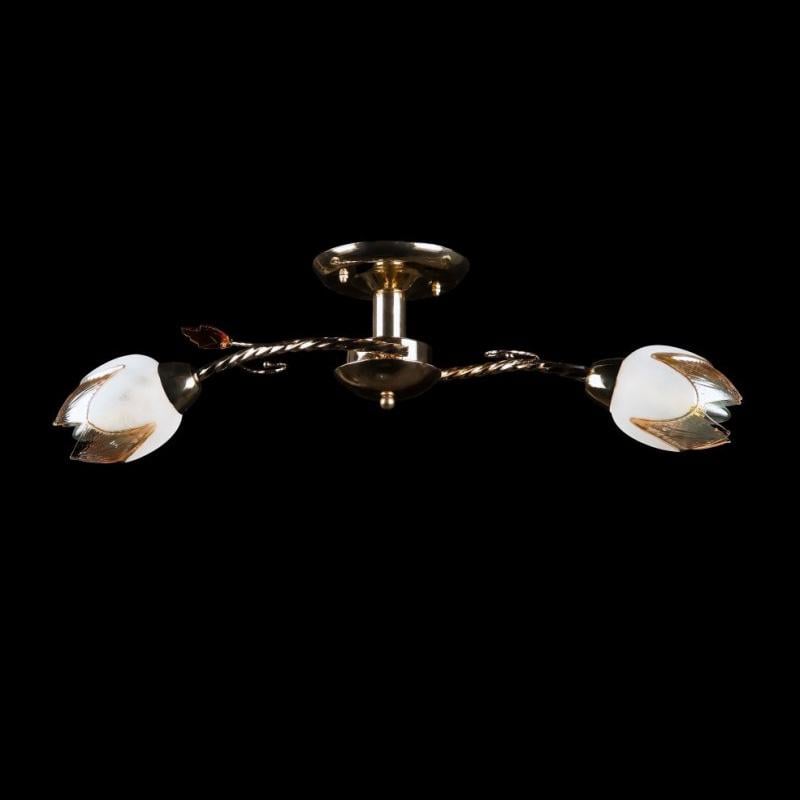 Люстра с плафонами Ray L82002/2 FGD (257324)