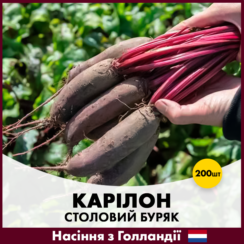 Семена свеклы Rijk Zwaan Столовый Карилон 200 шт. (R50194)