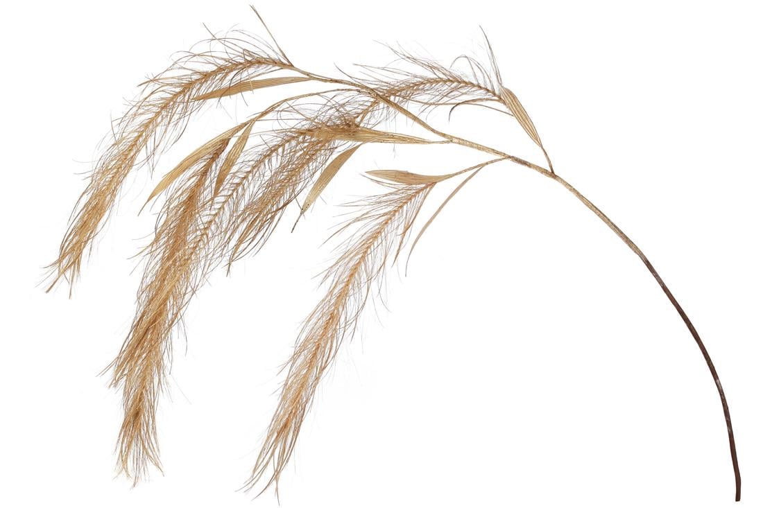 Декоративная ветка BonaDi (839-378)