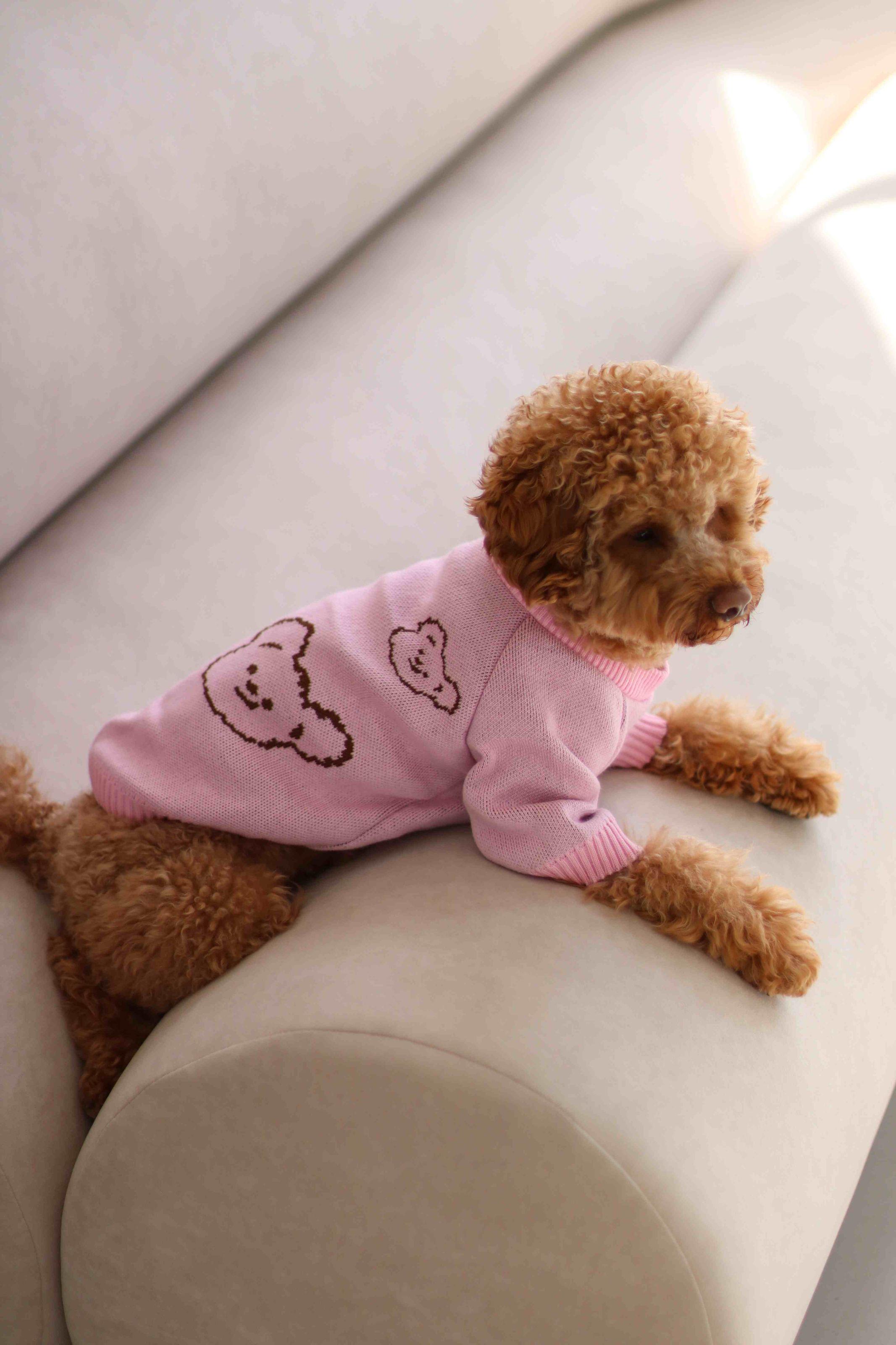 Свитер для собак вязаный Медведь Y-287 р. 4 Розовый (70579605)