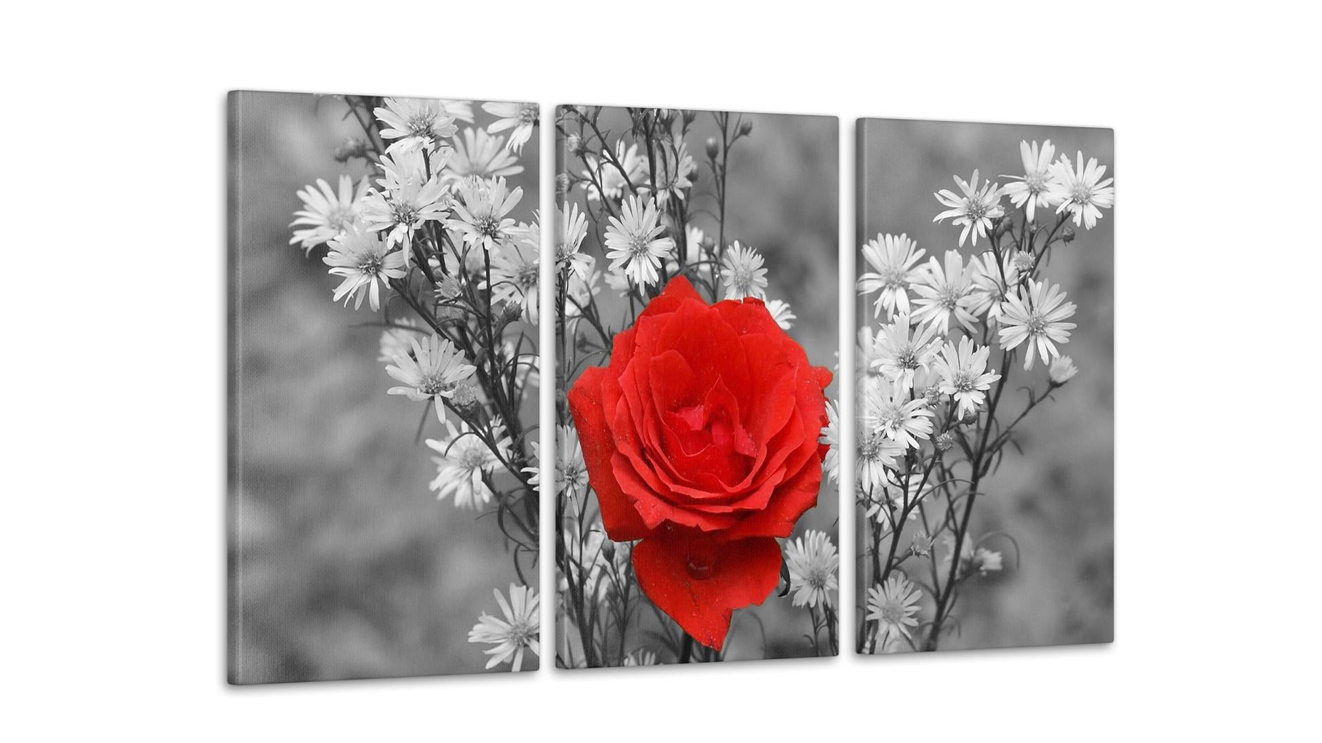 Модульная картина Цветы Красная Роза 53x100 см (Art-150_3А)