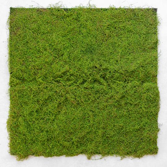 Декоративна панель зі штучного моху 100х100 см (9224-011)