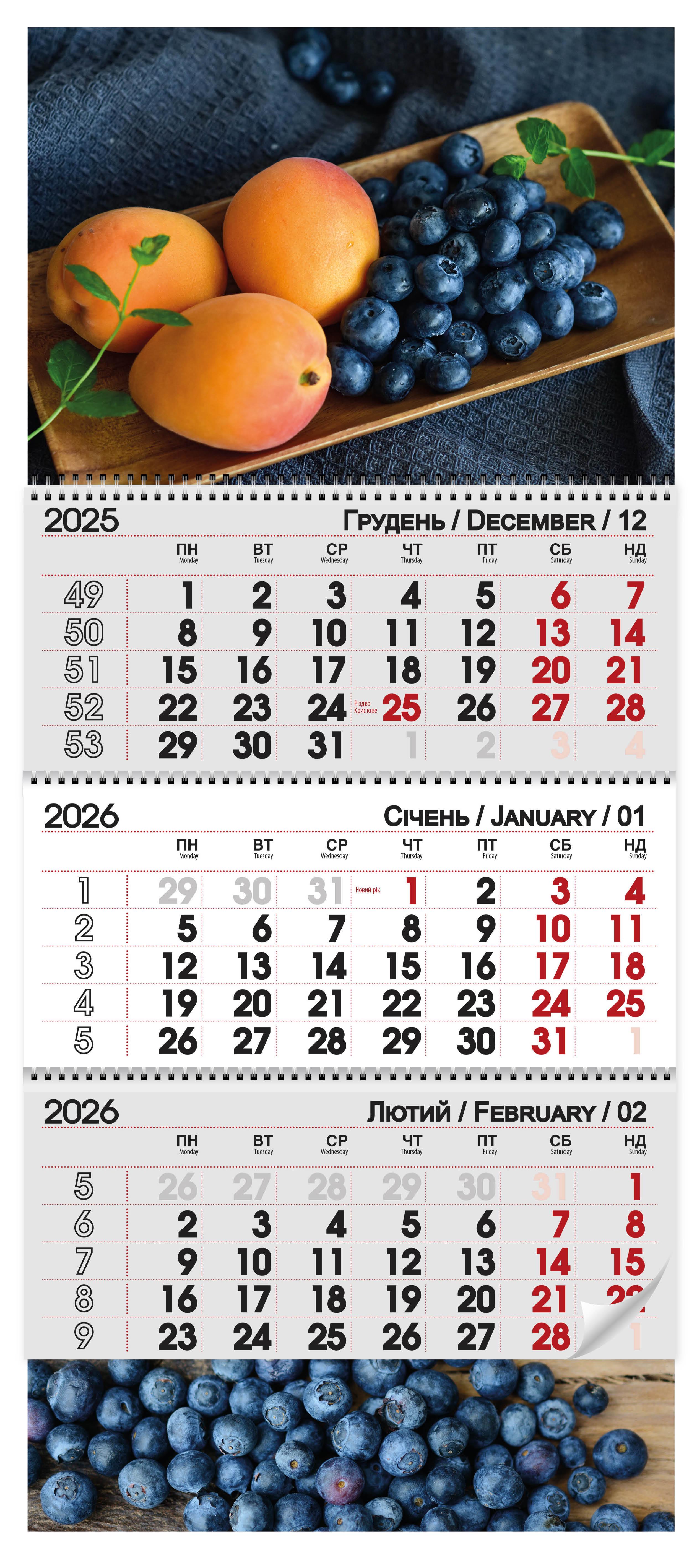 Календар квартальний 2026 Лохина (30084701)