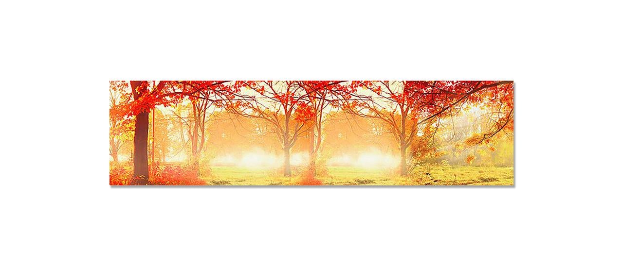 Наклейка виниловая 3D Zatarga Солнечный Лес 650х2500 мм (1274514074) Наклейка виниловая 3D Zatarga Солнечный Лес 650х2500 мм (1274514074)