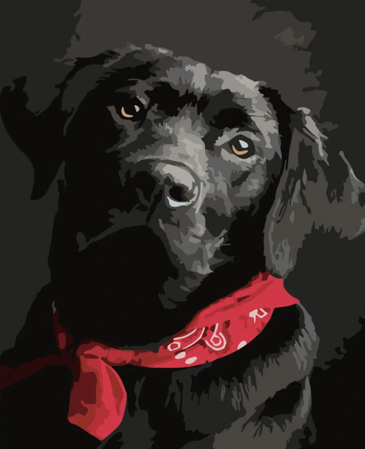 Картина за номерами Strateg Чорний лабрадор 40х50 см (DY288)