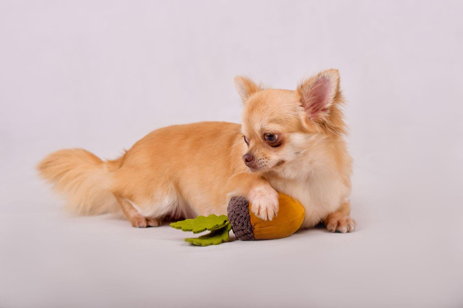 Игрушка для животных Желудь 9,5 см (33009) - фото 3 Игрушка для животных Желудь 9,5 см (33009) - фото 3