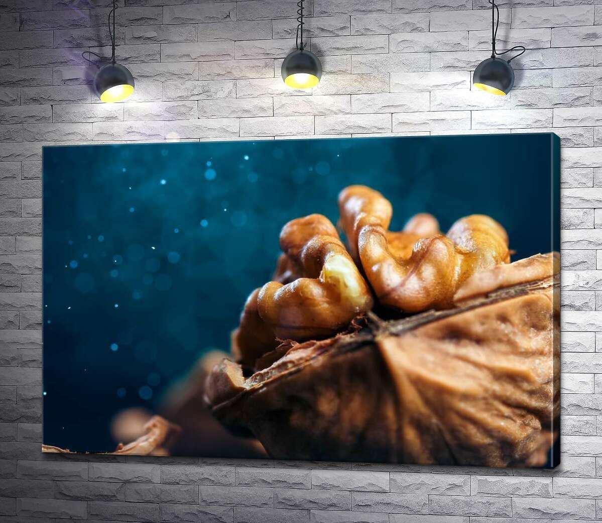 Картина ArtPoster Очищенная половинка грецкого ореха 100x67 см Модуль №1 (001098) Картина ArtPoster Очищенная половинка грецкого ореха 100x67 см Модуль №1 (001098)