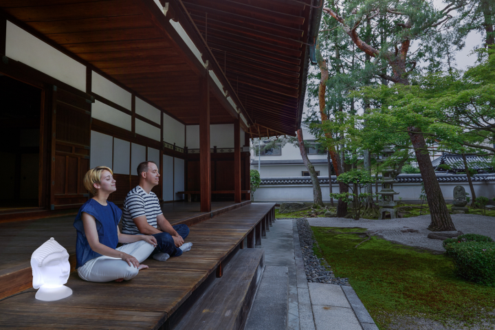 Светильник уличный Newgarden GOA 40 (LUMGA040OFNWW) - фото 2 Светильник уличный Newgarden GOA 40 (LUMGA040OFNWW) - фото 2