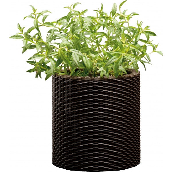 Горшок Keter S Cylinder Planter Коричневый (17197934521_S)