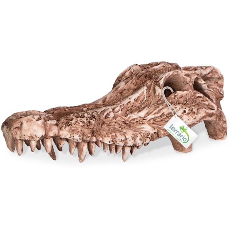 Декорація череп крокодила Terrario Crocodile Skull 30x14x9 см (TRA15911)
