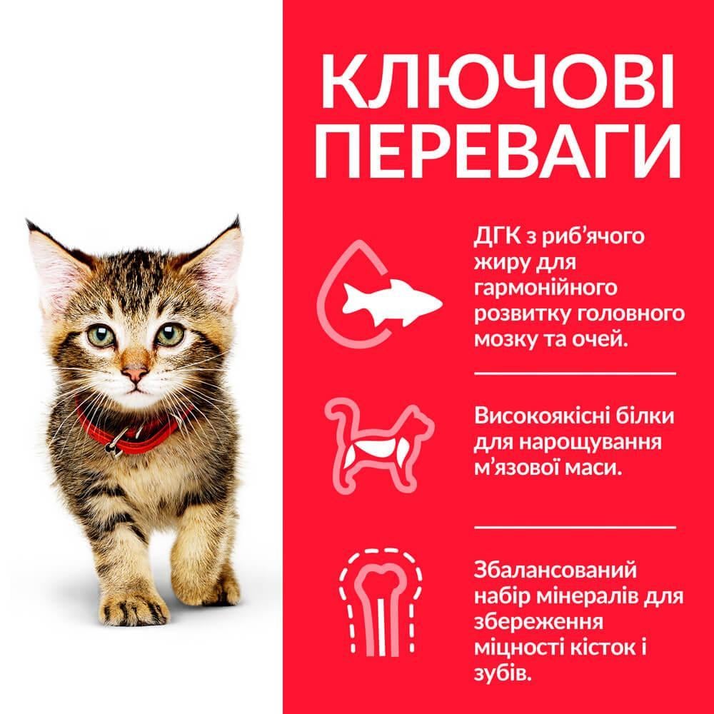 Корм сухой Hill's Science Plan Kitten для котят и кошек в период беременности и лактации с курицей 1,5 кг - фото 2 Корм сухой Hill's Science Plan Kitten для котят и кошек в период беременности и лактации с курицей 1,5 кг - фото 2