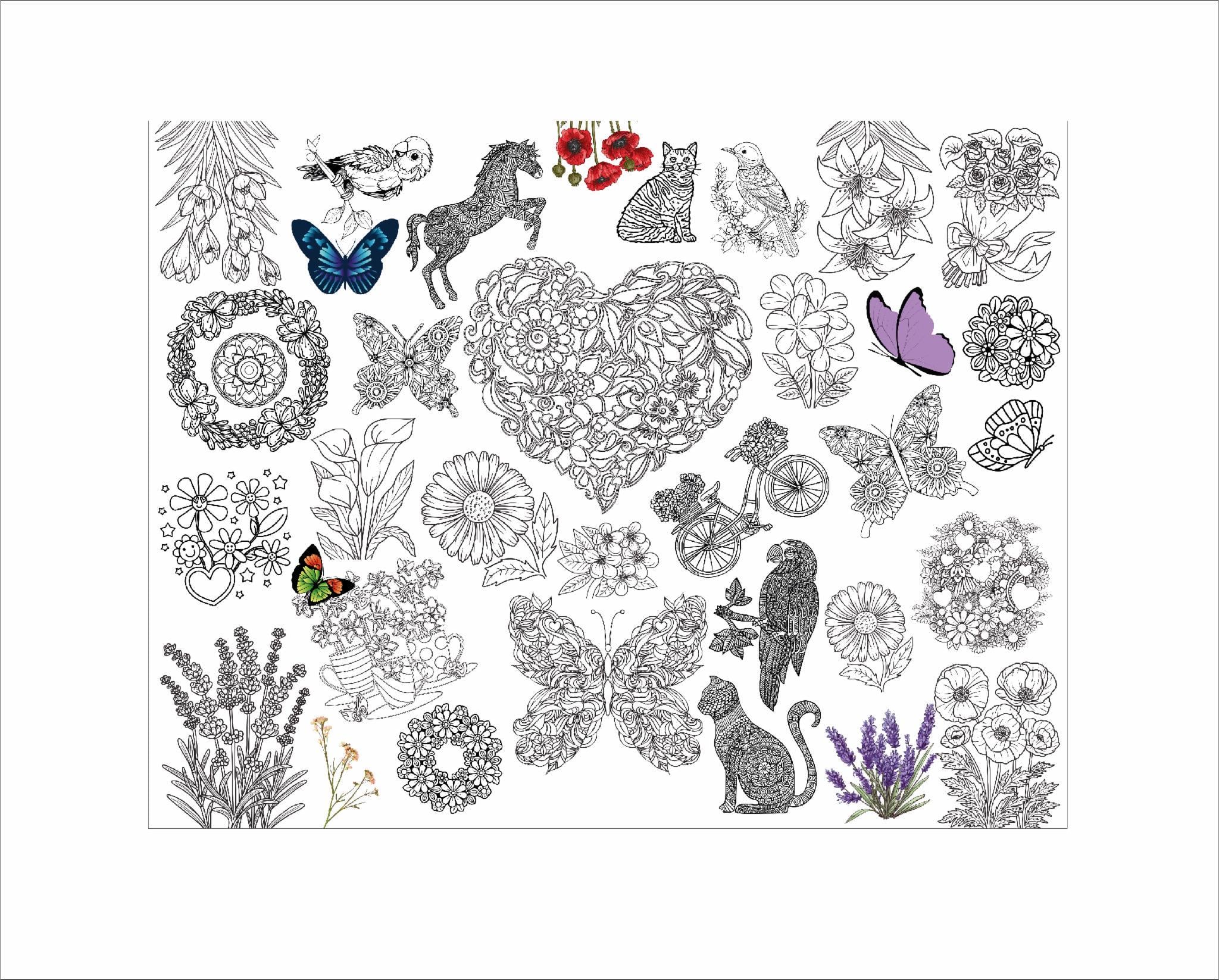 Розмальовка Квіткова 100х130 см з тубусом