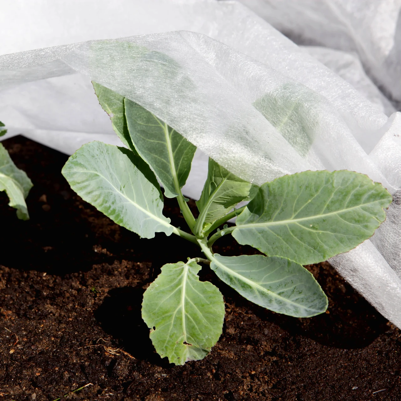 Агроволокно покрывное Greentex Р30 3, 20x100 м Белый (25020691) - фото 10 Агроволокно покрывное Greentex Р30 3, 20x100 м Белый (25020691) - фото 10