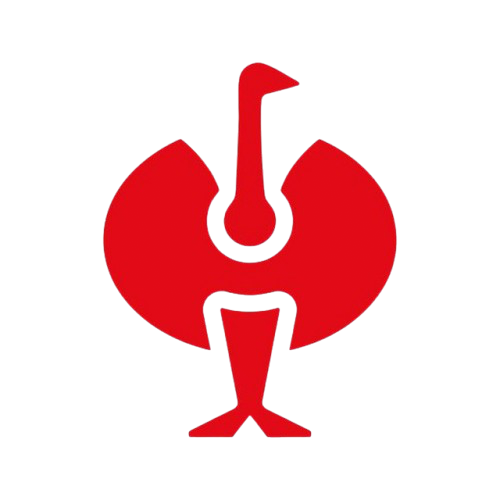 UA STRAUSS UA STRAUSS