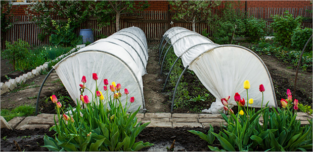 Парник из агроволокна Агро-Лидер 50 г/м2 10 м (3088) - фото 3 Парник из агроволокна Агро-Лидер 50 г/м2 10 м (3088) - фото 3