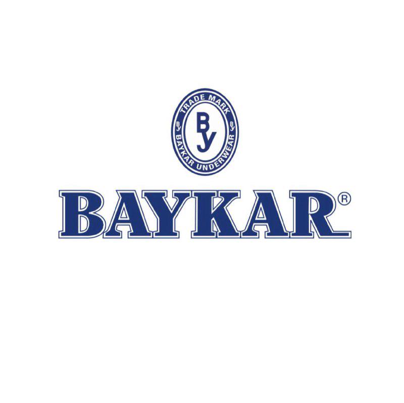 Baykar