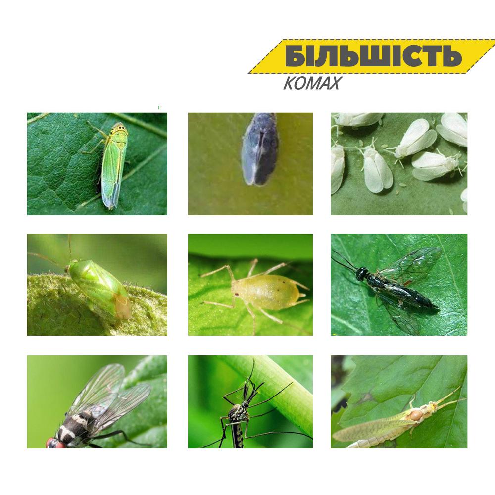 Ловушки клеевые многоразовые для защиты растений от кладки/насекомых 10 л. 20х10 см (LOVKOM-YLW-1326) - фото 2 Ловушки клеевые многоразовые для защиты растений от кладки/насекомых 10 л. 20х10 см (LOVKOM-YLW-1326) - фото 2