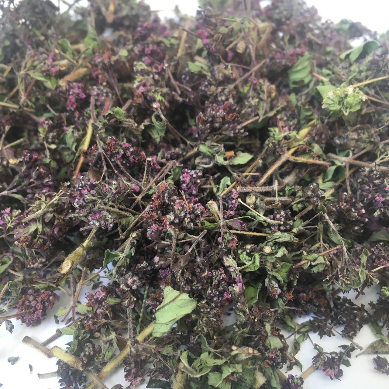 Орегано душица Карпаты 50 г (62906952dfd27b7bc05f4322)
