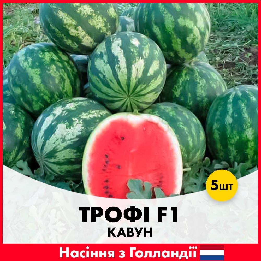 Семена арбуза Nunhems Трофи F1 5 шт. (R30326)
