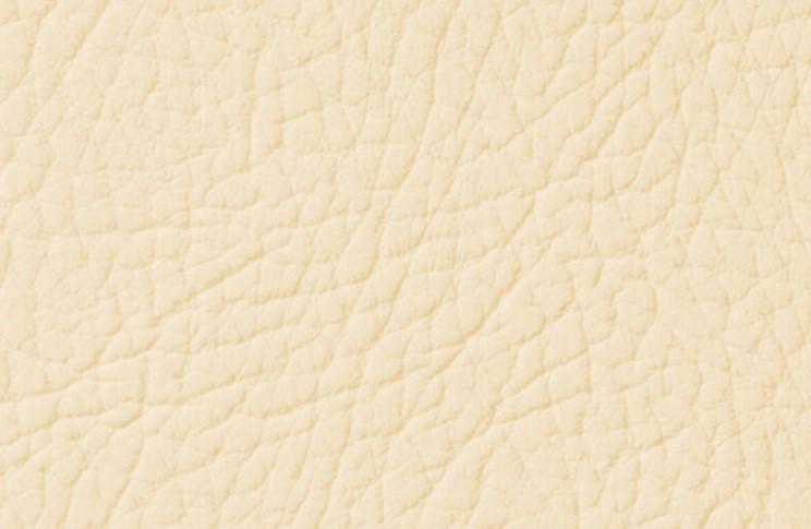 Эмаль для окрашивания кожи Leather Expert Colourant 100 г 109 Cottage Cream Эмаль для окрашивания кожи Leather Expert Colourant 100 г 109 Cottage Cream