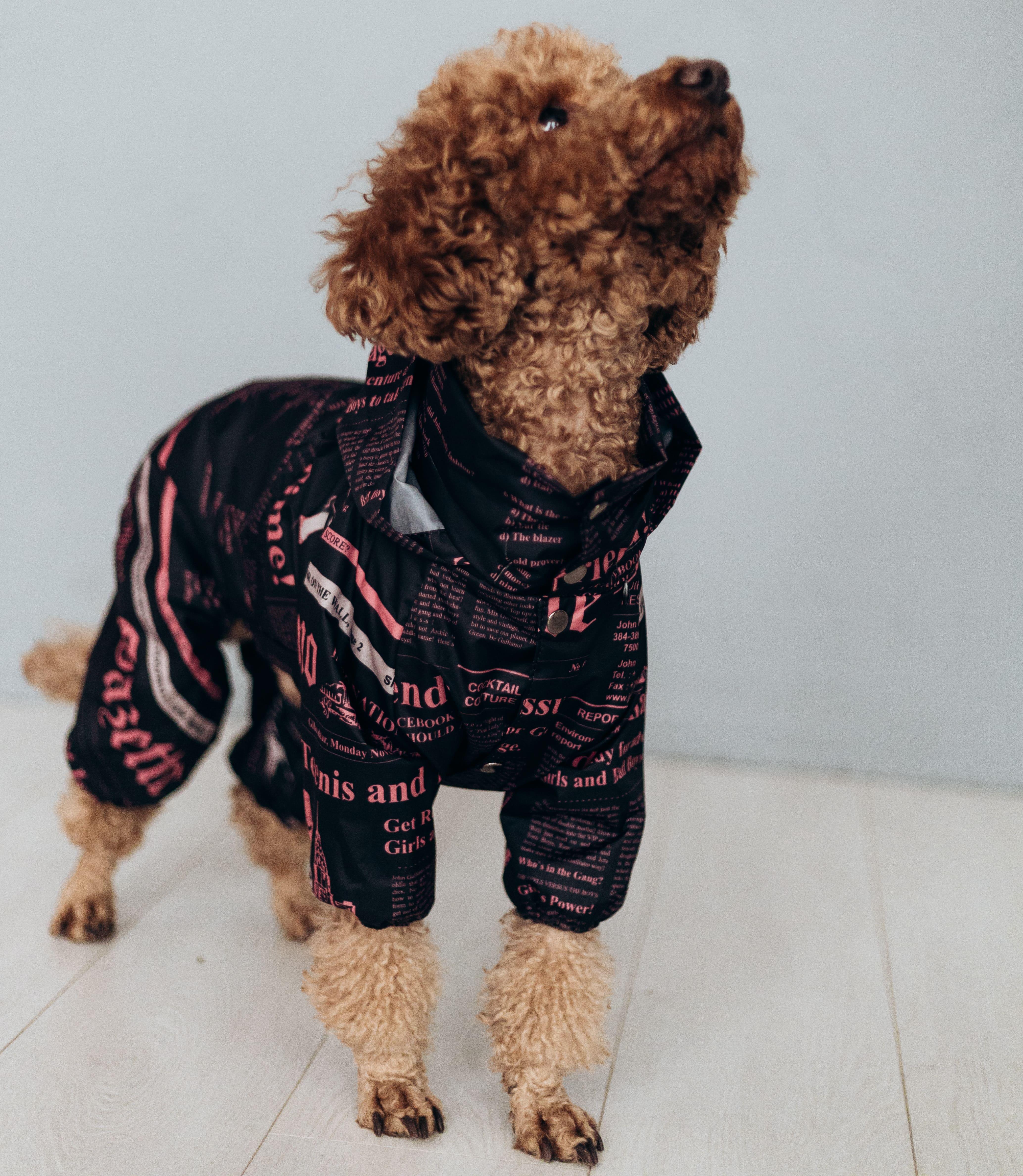 Дощовик для собак із прихованим капюшоном Газета M-97 р. 2 Рожевий (77179849)