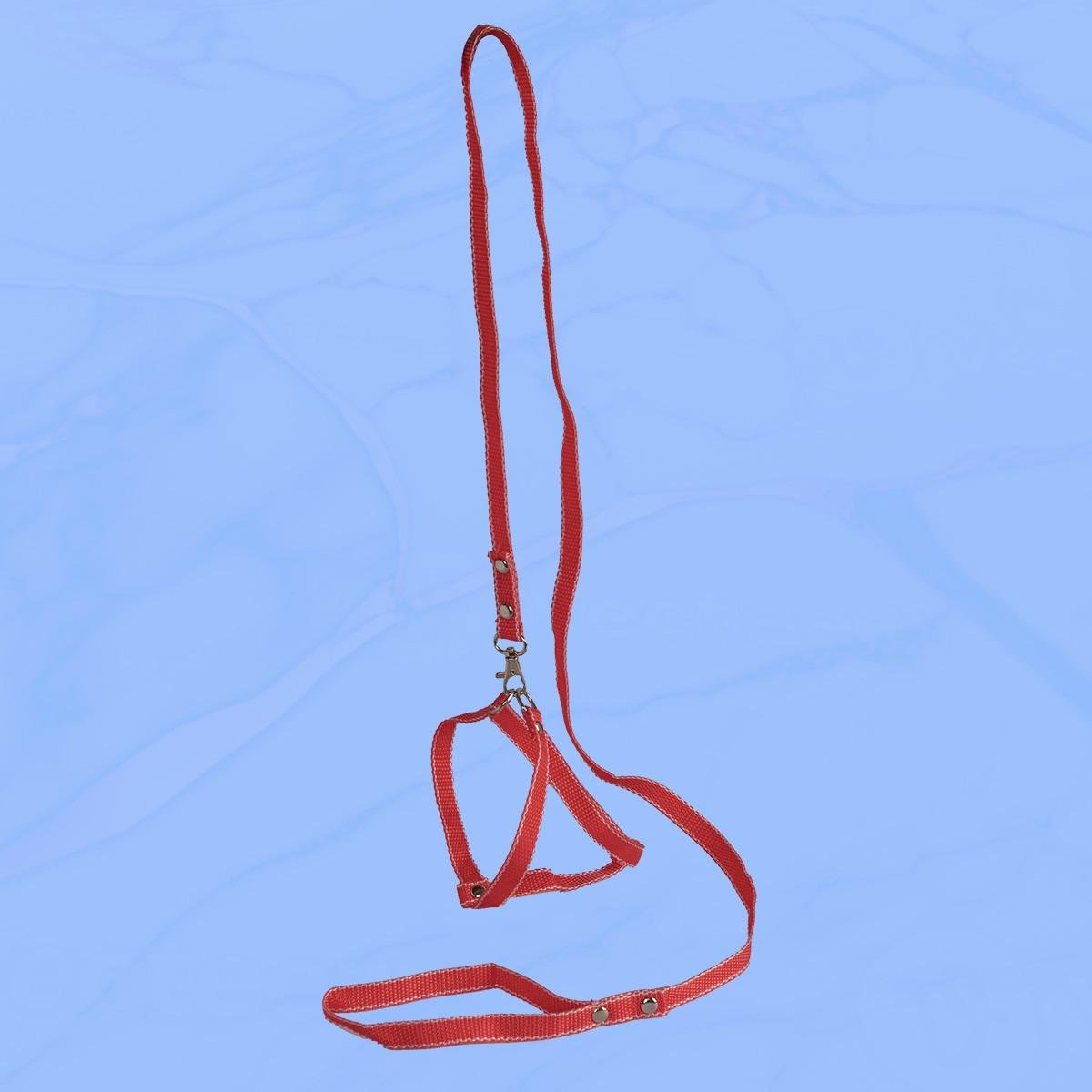 Шлейка-поводок для собак Човник капроновая 30х30-130 см Красный (2296440470) Шлейка-поводок для собак Човник капроновая 30х30-130 см Красный (2296440470)