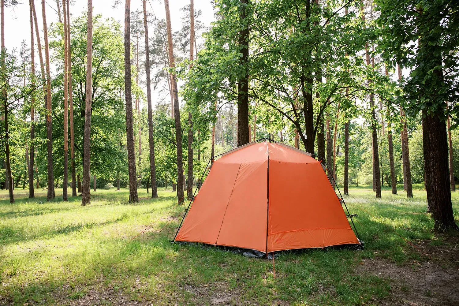 Шатер Tramp Lite Mosquito TLT-009.02 Orange - фото 4 Шатер Tramp Lite Mosquito TLT-009.02 Orange - фото 4