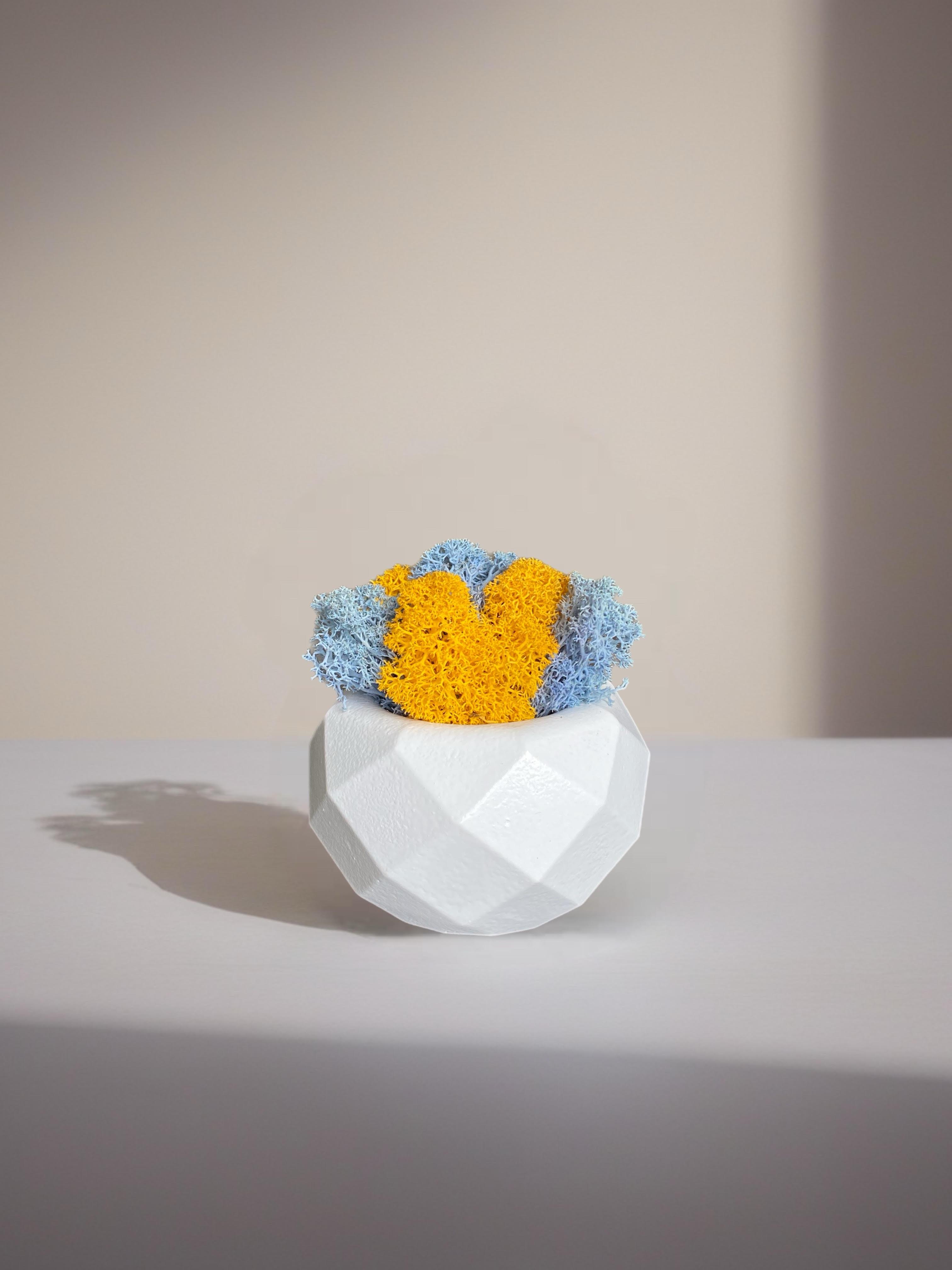 Кашпо с мхом гипсовое (32645183)